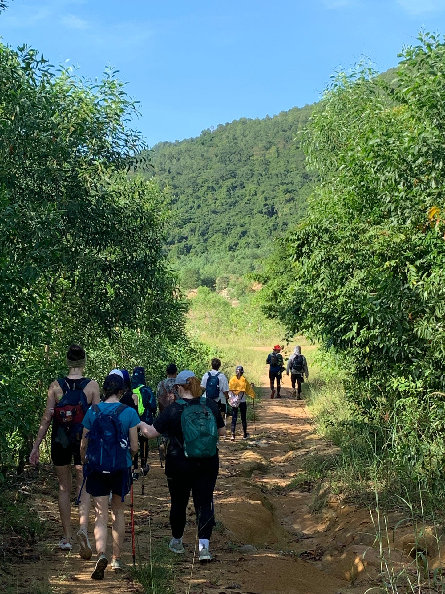 86A2: Caminata por dos picos entre senderos de bambú con impresionantes vistas de la cumbre