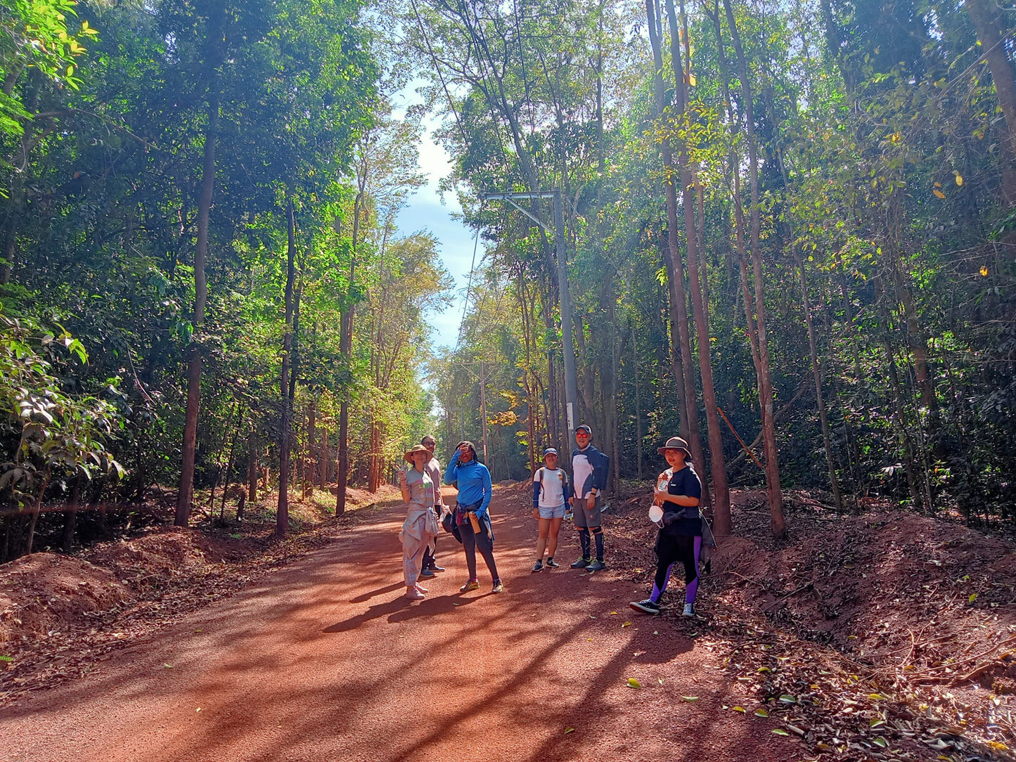 10A: Bosque de Mã Đà: el viaje a través de bosques milenarios