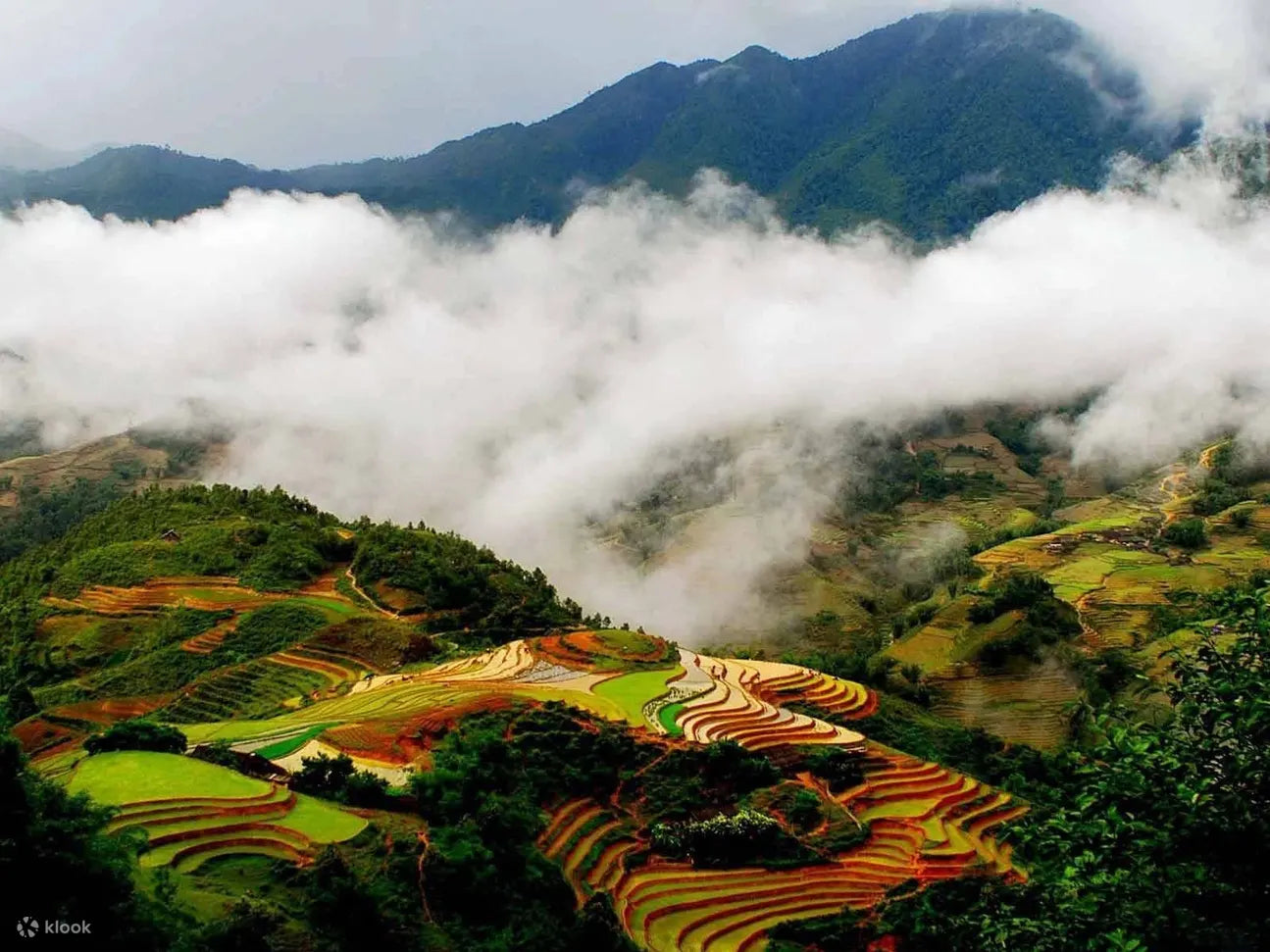 SP-B1: Sapa Countryside & Ethnic Culture (Back of 🏍️ Motorbike)