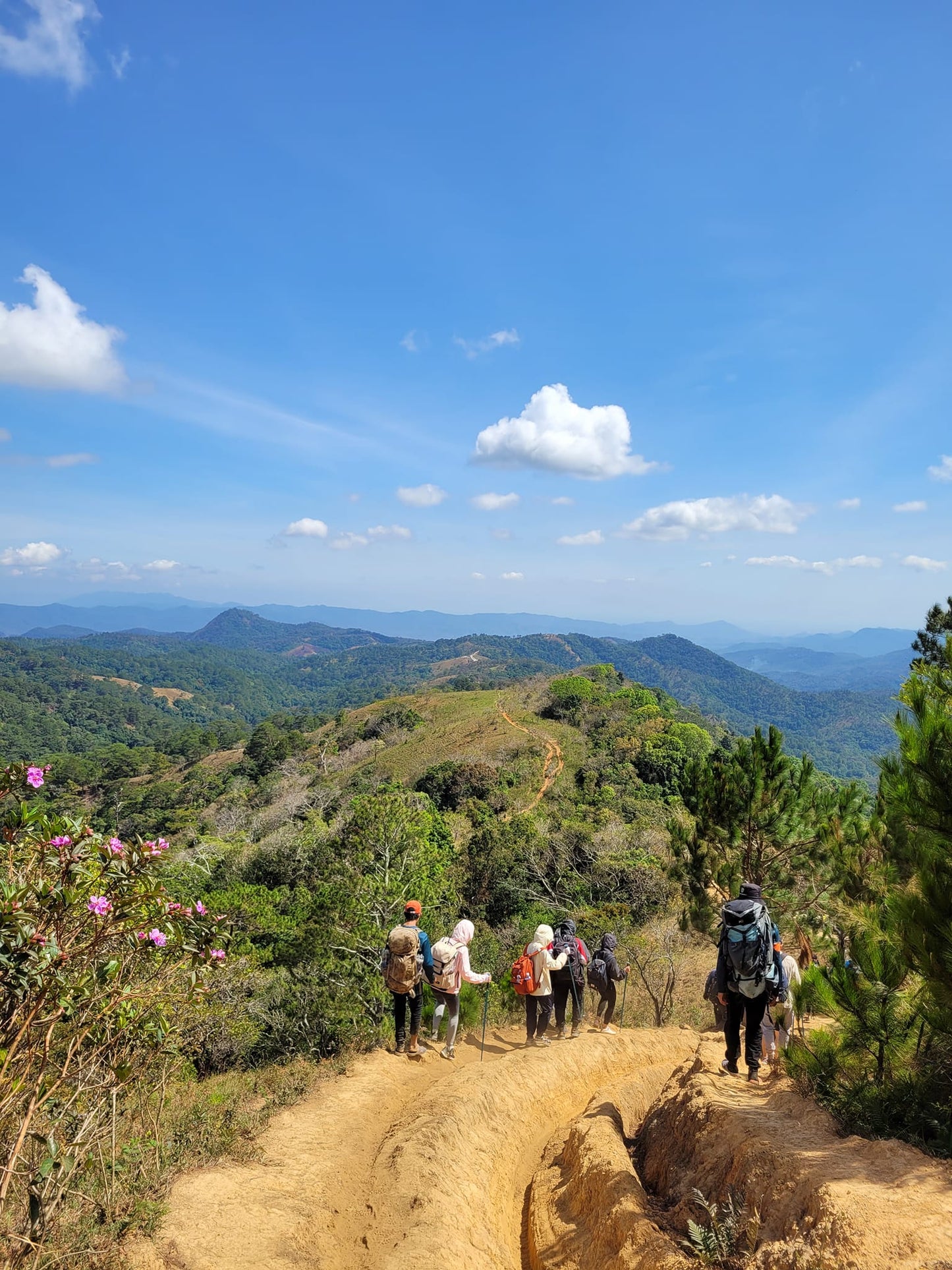 52B: (2 días) Ta Nang-Phan Dung: Descubrimiento en la cima de una colina, revelando las majestuosas colinas verdes