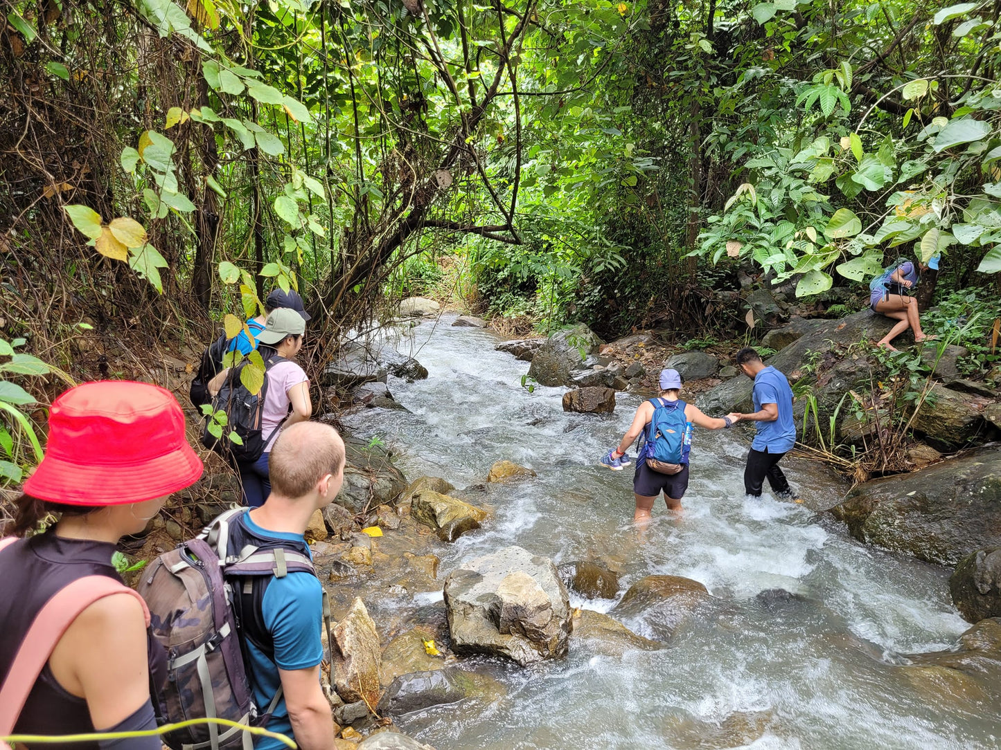 74A: Aventura Madagui: Descubriendo bosques misteriosos