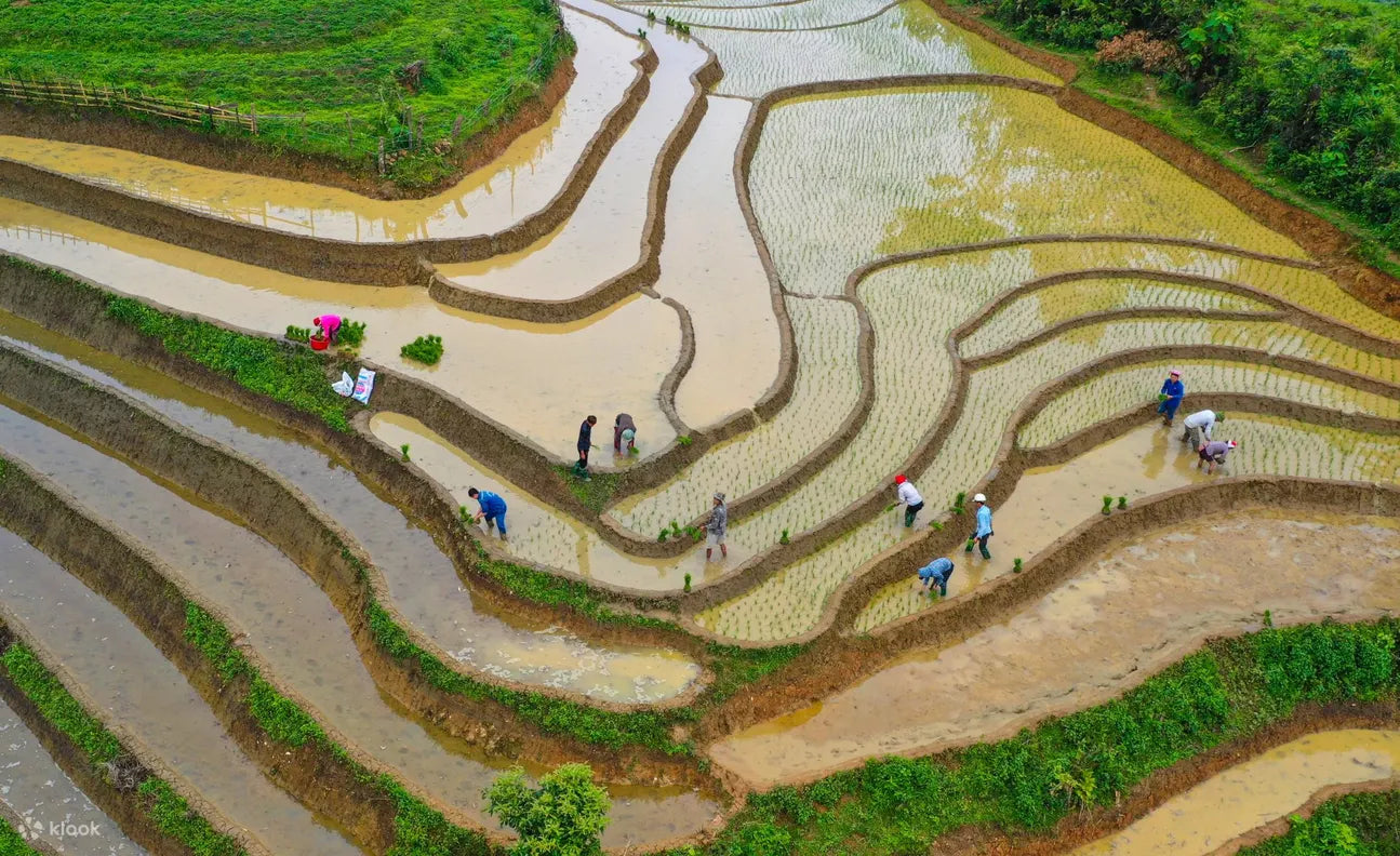 SP-C2: Sapa Local Village Tour from Hanoi (3 Days)