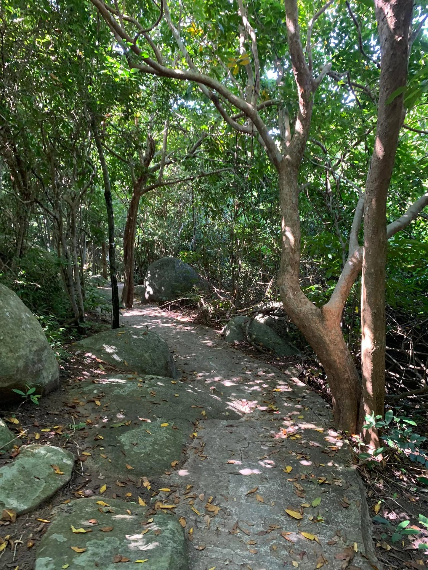 4AB (Shared Bus)- Minh Dam mountain- A Spiritual Journey