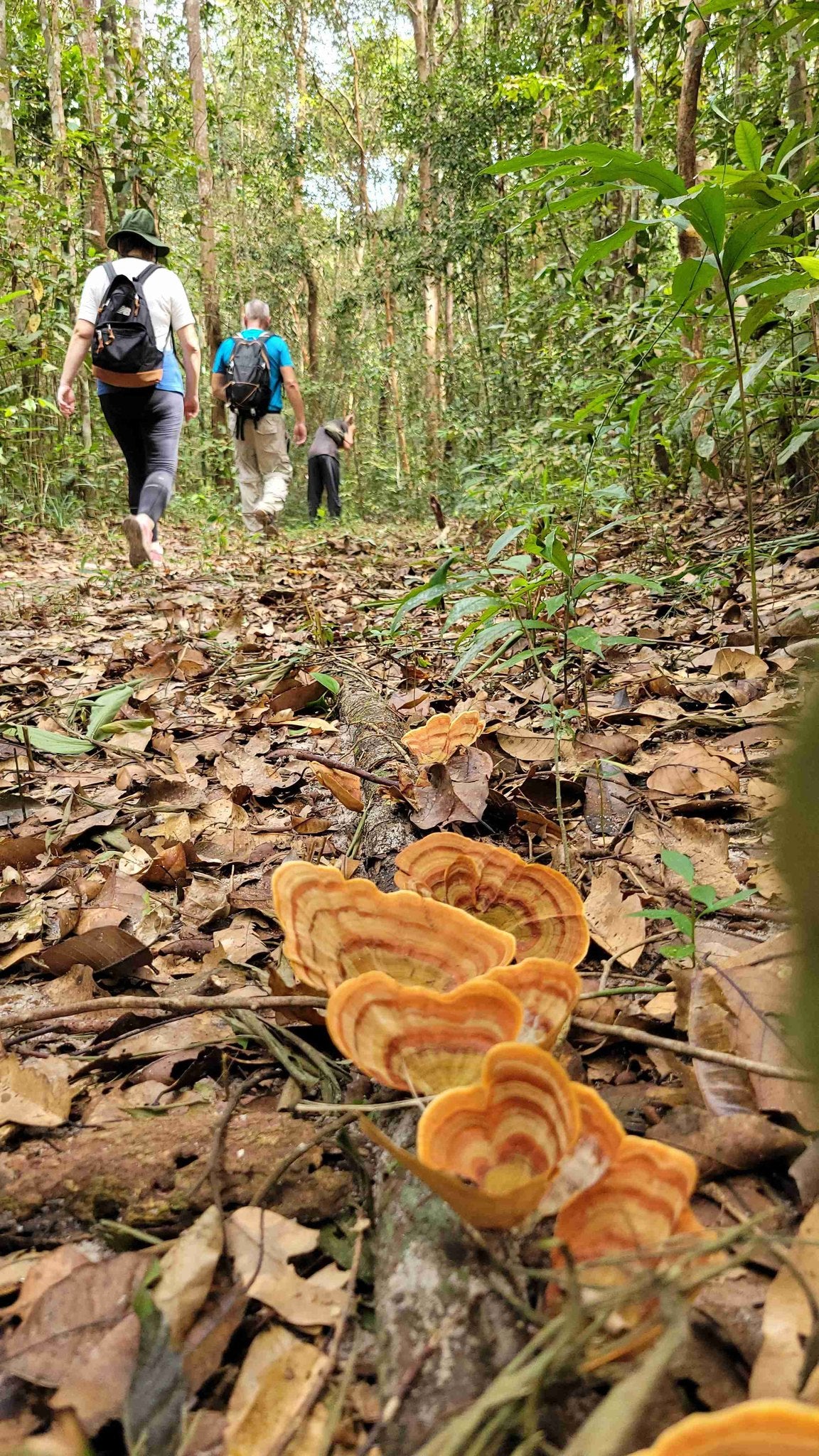 28D Hiking Thac Mai Jungle