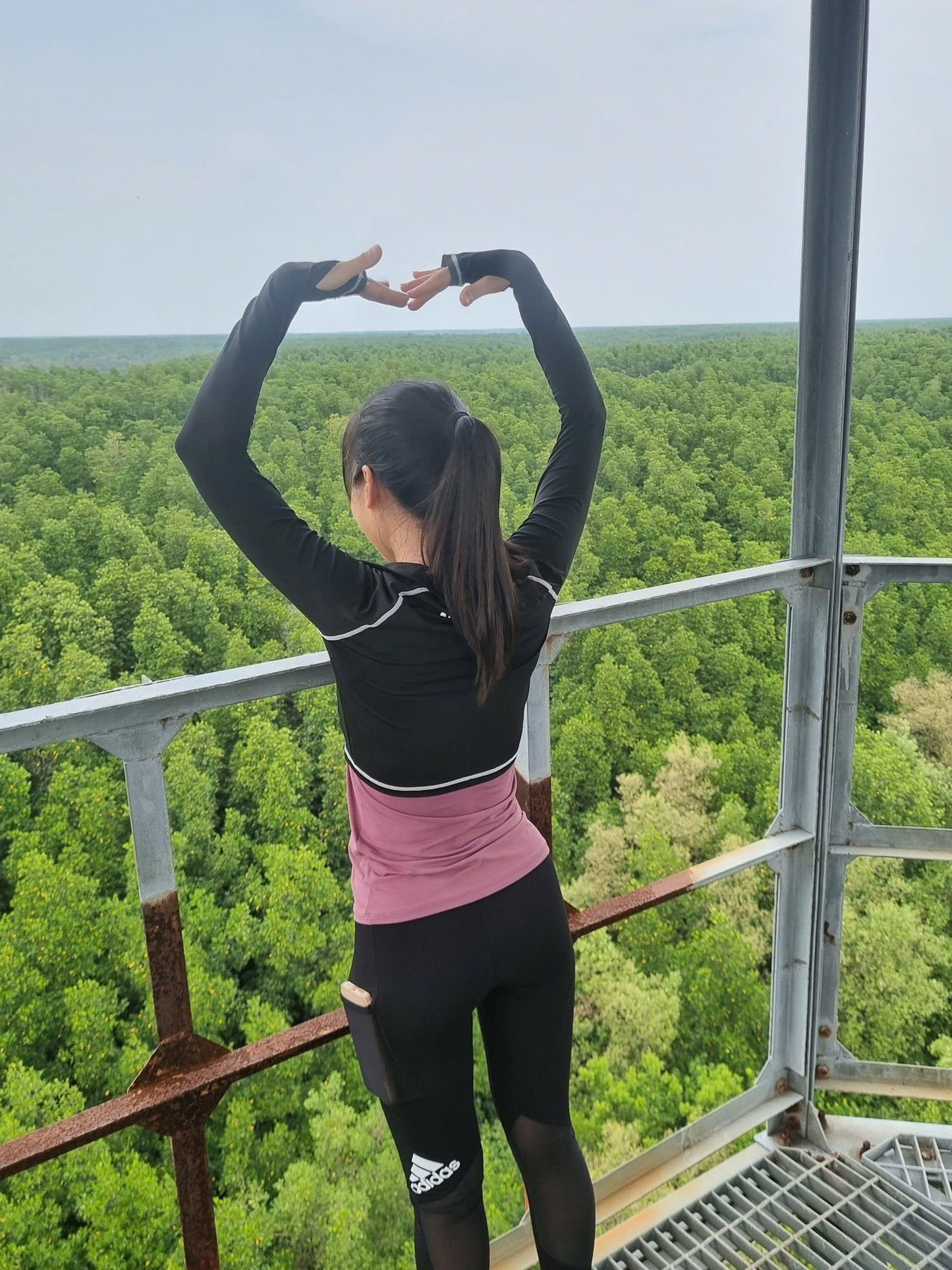 2D Hiking Can Gio Mangrove Forest