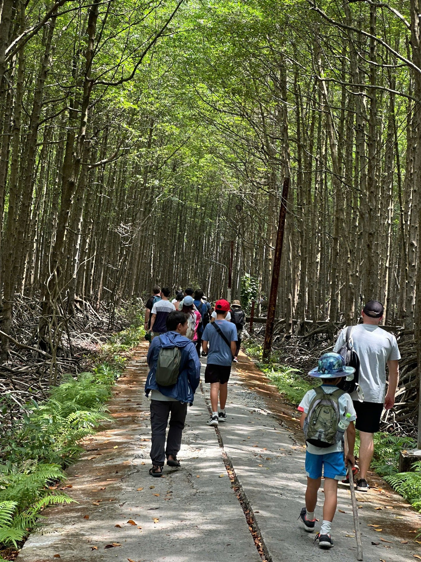 2D Hiking Can Gio Mangrove Forest