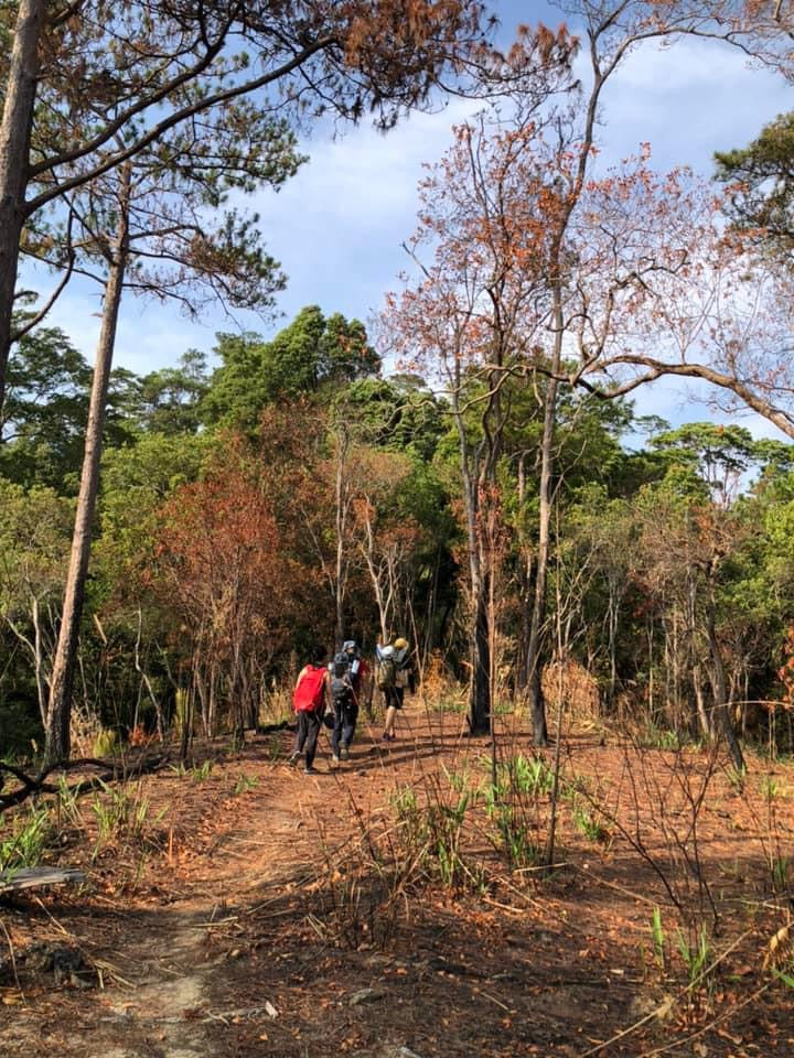 67B (2 DAYS): Mt.Chu Yang Lak (1634m): Elevated Escapade, Summit Expedition and Mountain Adventure