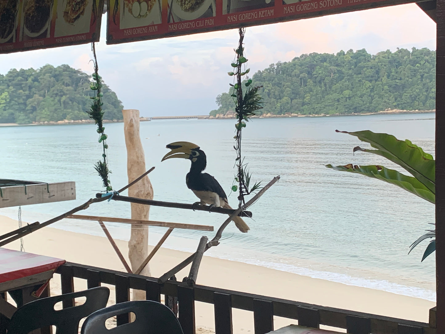 A5C：（3天）邦咯岛天堂：探索马来西亚瑰宝的宁静之美