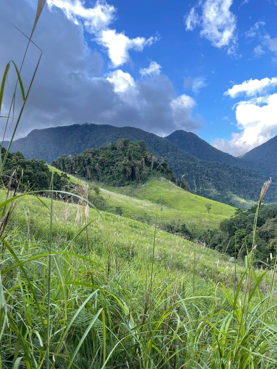87B: (2 Days) Nui Ba Mountain 2,287m, The Roof Of Lam Dong (Top 5 Largest National Parks In Vietnam))