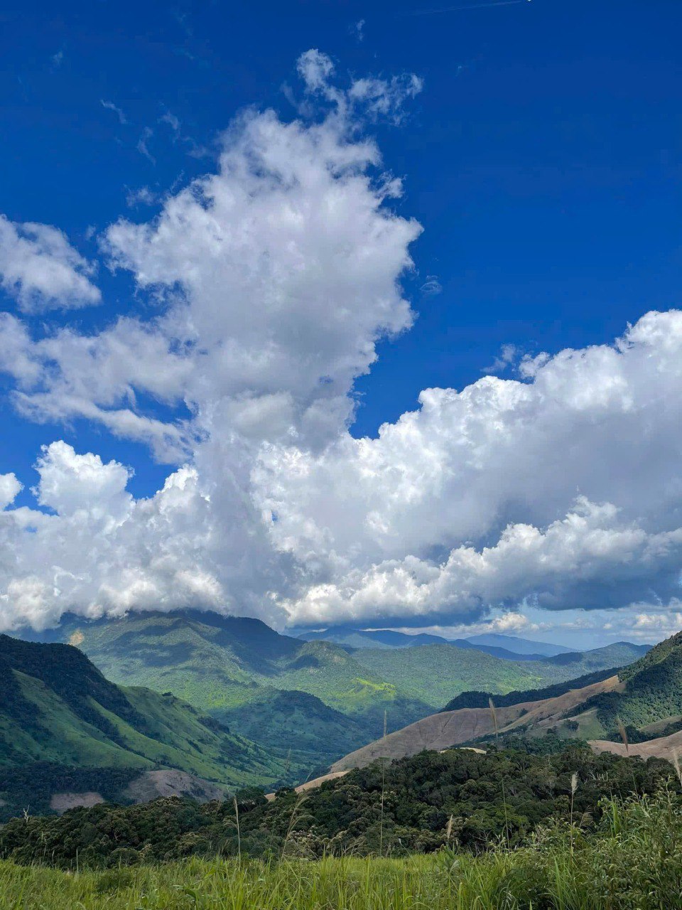 87B: (2 Days) Nui Ba Mountain 2,287m, The Roof Of Lam Dong (Top 5 Largest National Parks In Vietnam))