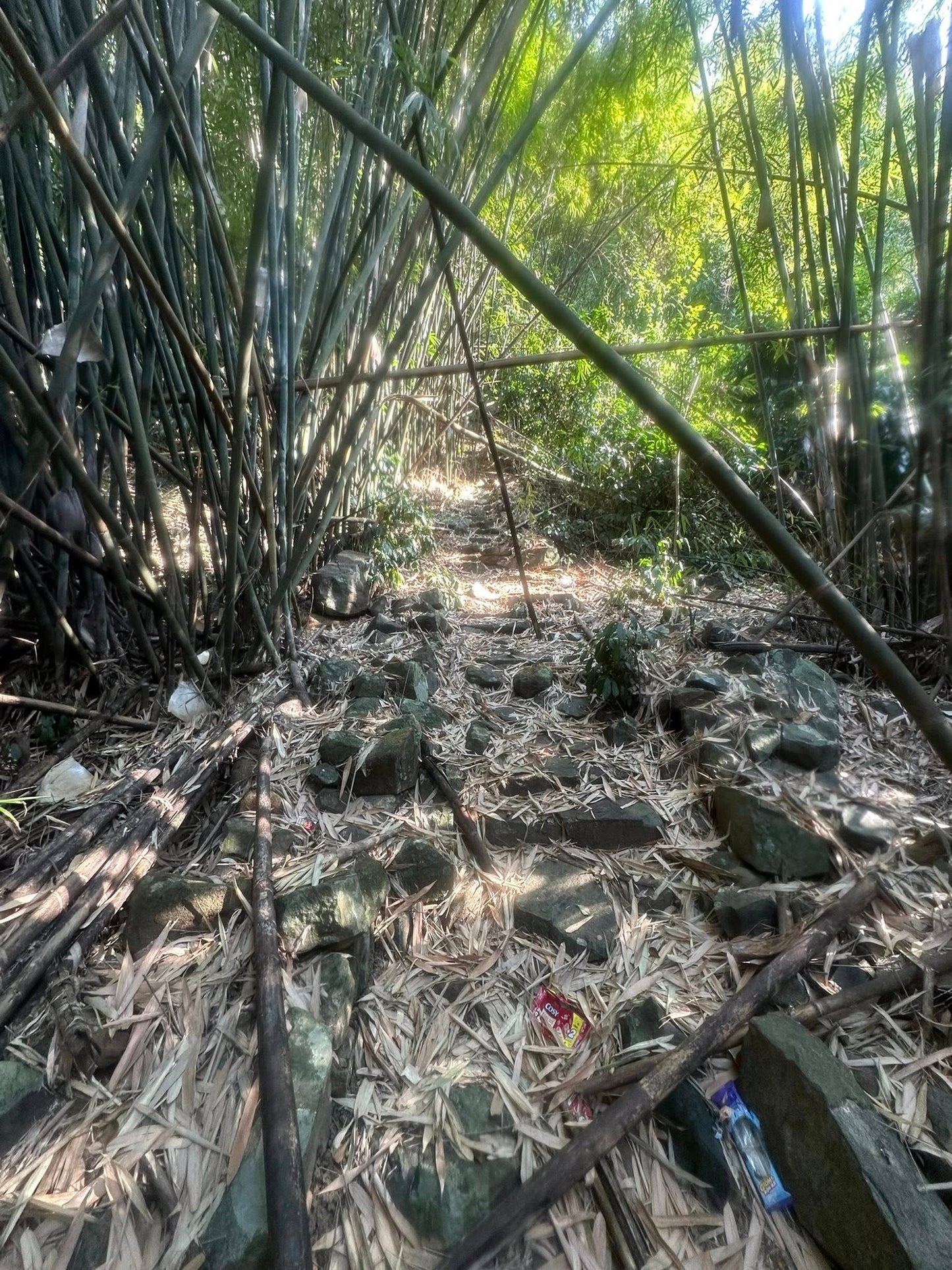 2BC- BA RA MOUNTAIN TREKKING ADVENTURE