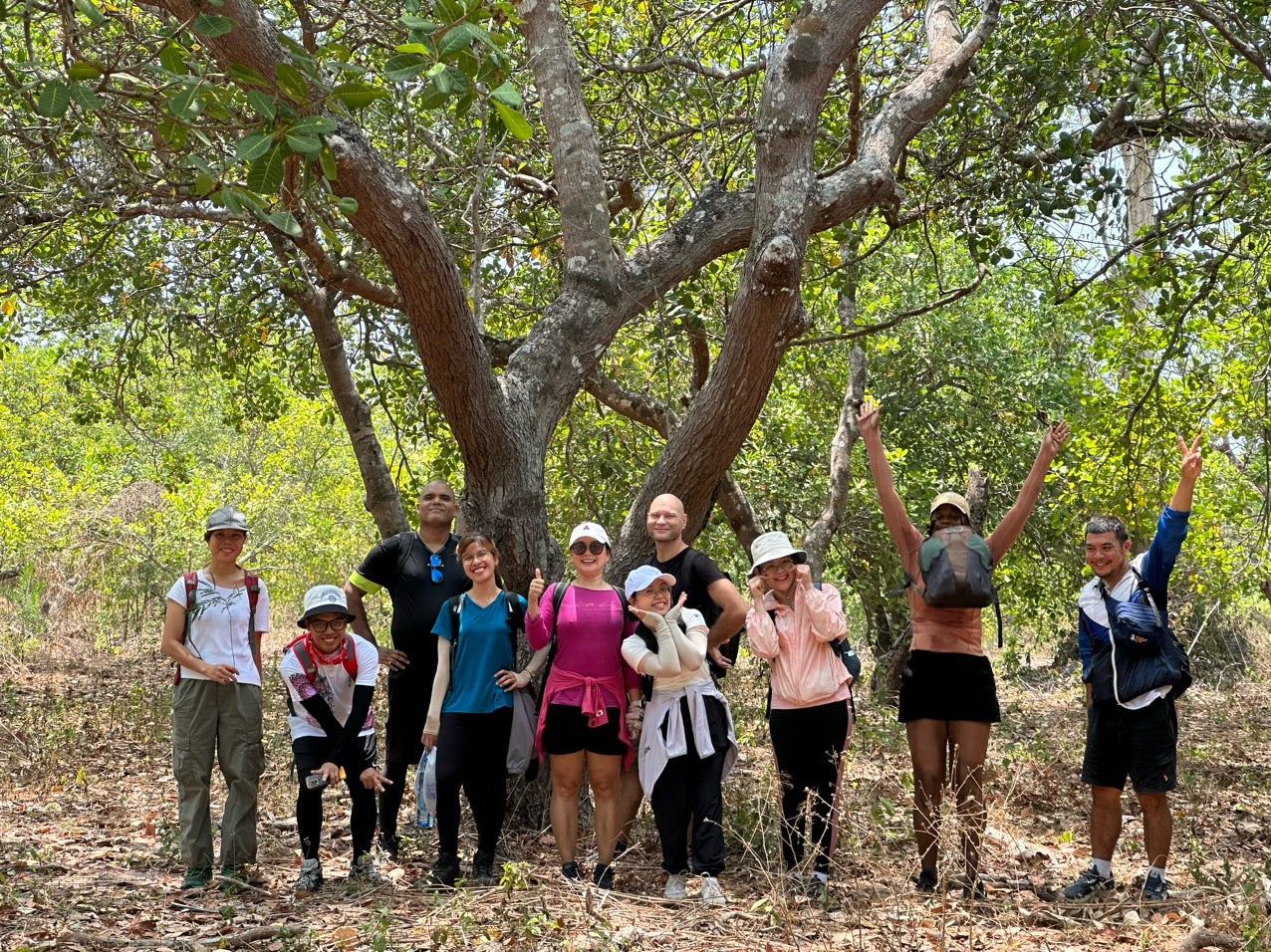 (Tour básico) 28AB: Selva de Thác Mai - Pastizales sin fin hacia la naturaleza.