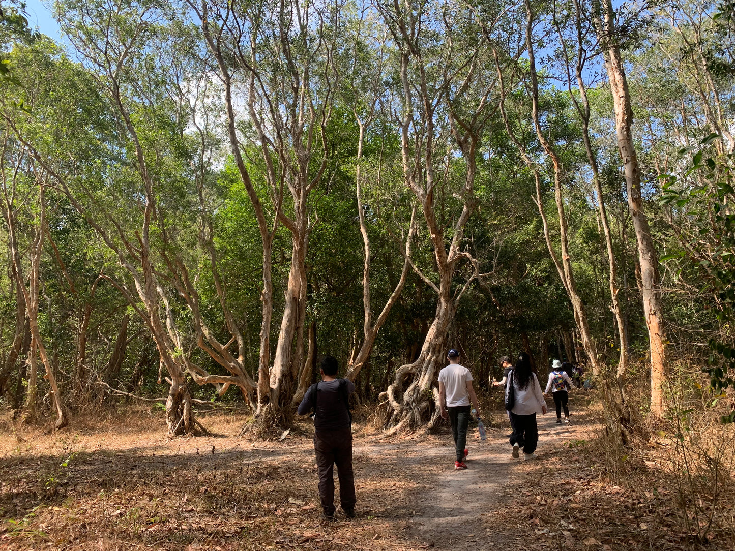 (Visite de base) 14AB : Jungle de Phuoc Buu (réserve naturelle) : les pionniers de la côte découvrent la beauté sauvage de Binh Chau