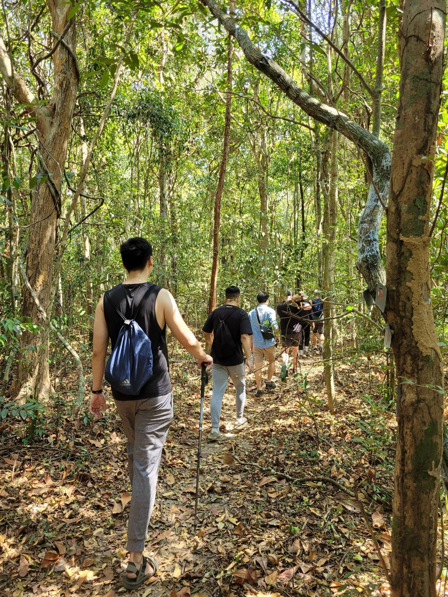 31A: Reserva Natural de Binh Chau: Hábitats Tropicales Vírgenes