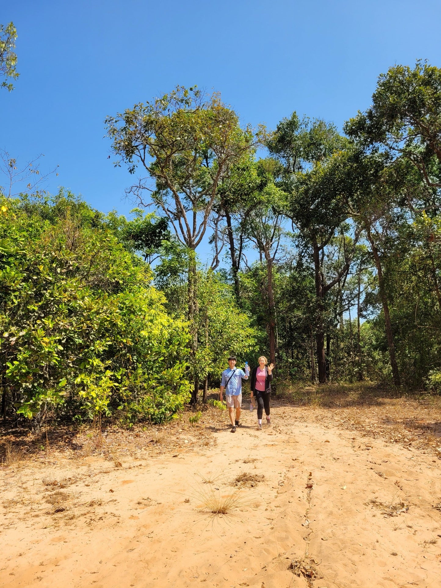 31A : Réserve Naturelle de Binh Chau : Habitats Tropicaux Vierges