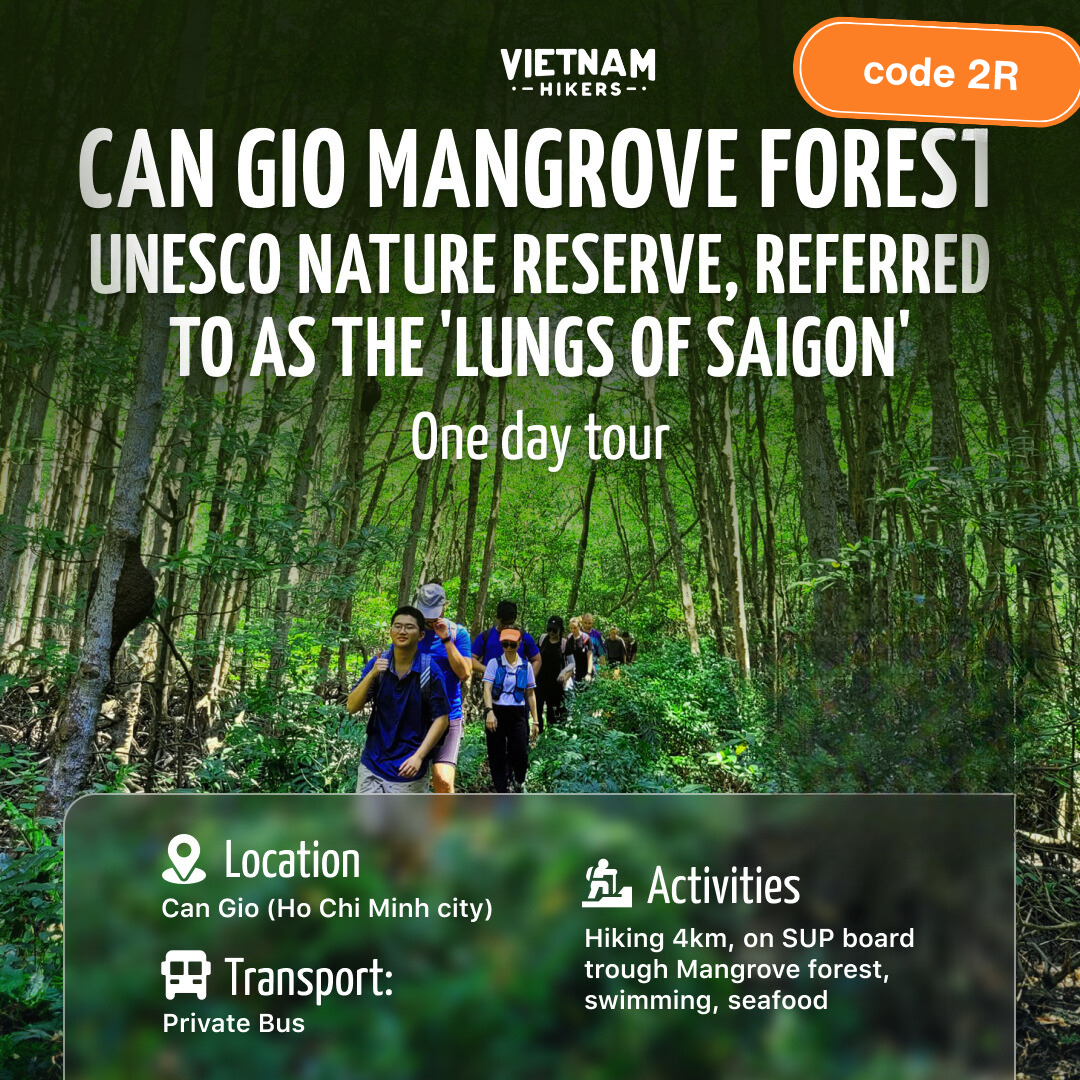 2R: Hiking & Paddle boarding @ UNESCO Can Gio Mangrove Forest! (3 People Minimum)