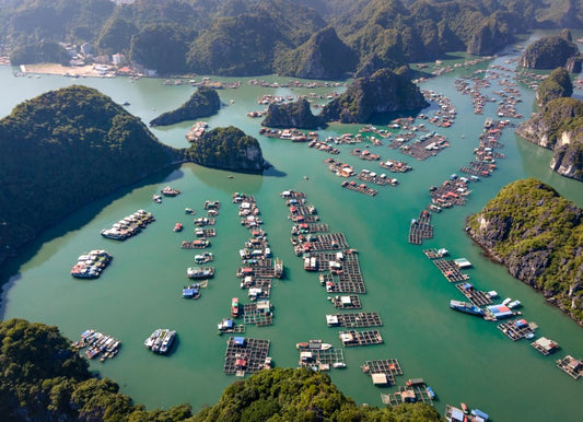 CB2A: (1 Day) Cat Ba Island, Sunset Kayaking & Plankton Viewing (Ha Long Bay)