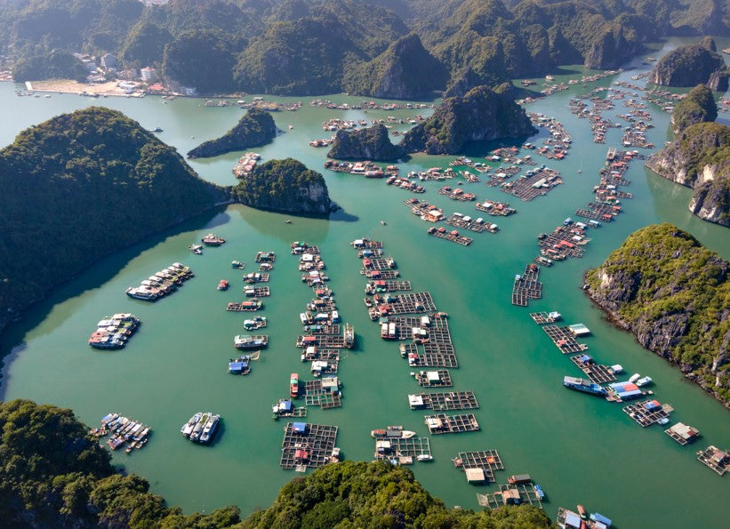 CB1A: (1 Day) Cat Ba Island, Lan Ha Bay Boat Tour (Ha Long Bay)