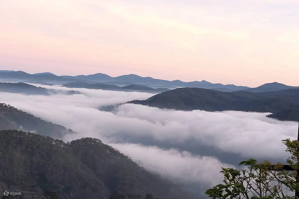 DLA4: Cloud Hunting & Glow of Dawn Tour in Da Lat