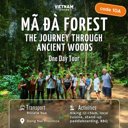 10A：Mã Đà 森林：穿越古老森林的旅程