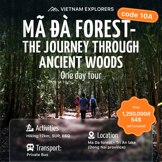 10A: Mã Đà Forest: The Journey Through Ancient Woods