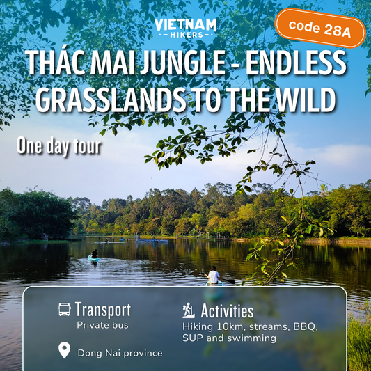 28A: Thác Mai 정글 - 끝없는 초원이 야생으로.