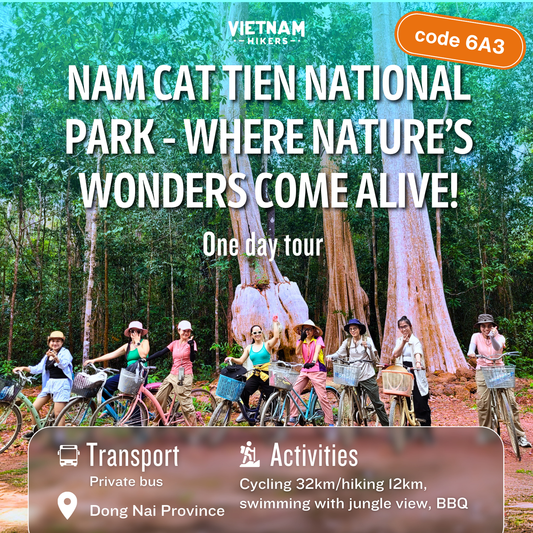 6A3: Vườn quốc gia Nam Cát Tiên: Nơi những kỳ quan thiên nhiên trở nên sống động!