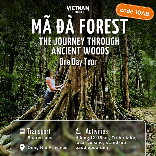 10AB(Shared Bus): Mã Đà Forest: The Journey Through Ancient Woods