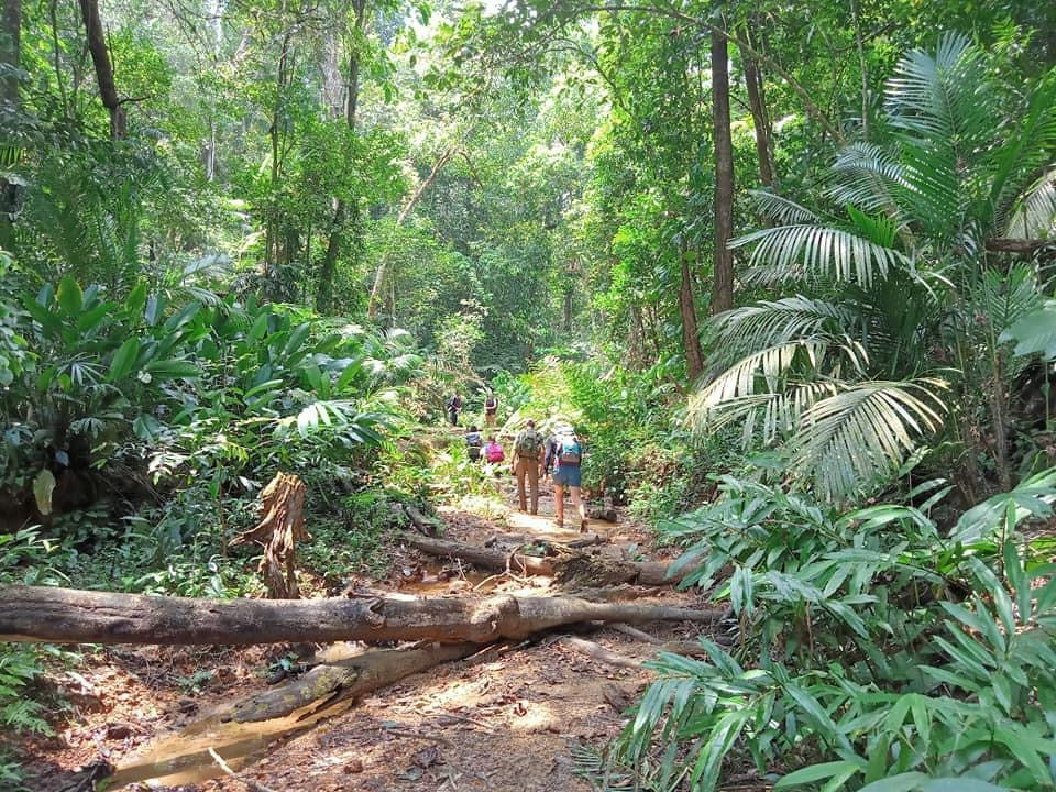 25B : (2 JOURS) Cascades K50 - Beauté majestueuse au milieu de la forêt immaculée de Kon Chu Rang