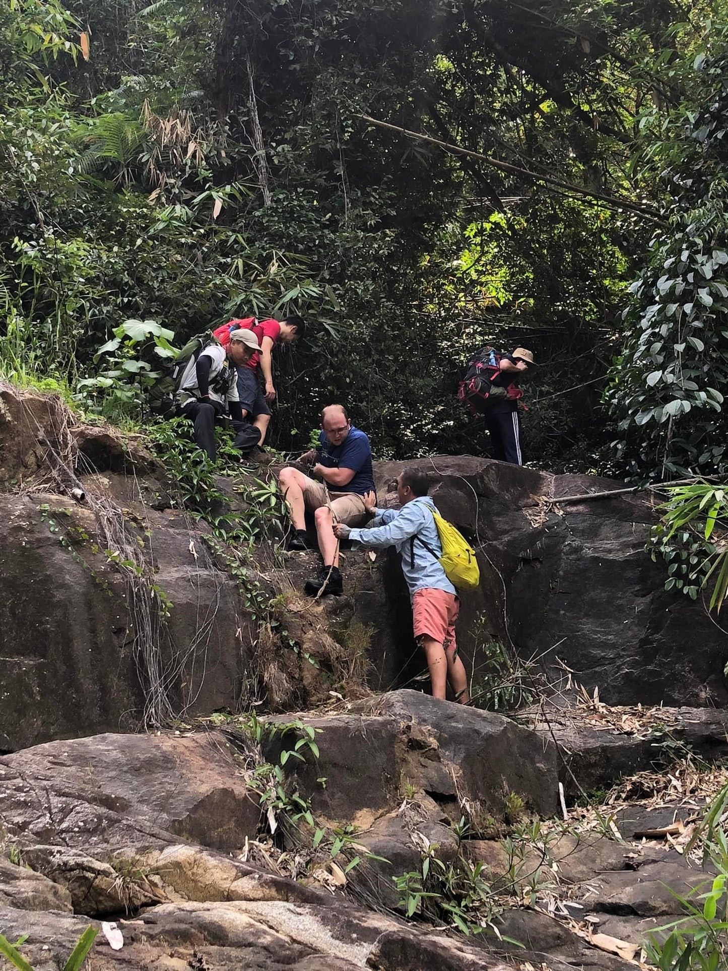 33B: (2 DÍAS) Cascada de 9 capas: una poderosa cascada cae desde arriba en el encantador bosque profundo