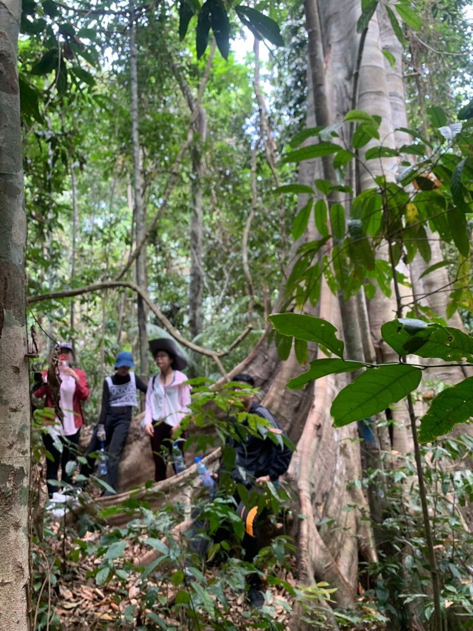 91A: Tour de día completo, pueblo de Ta Lai: viaje en el tiempo, senderos de elefantes y exploración cultural del pueblo Ma