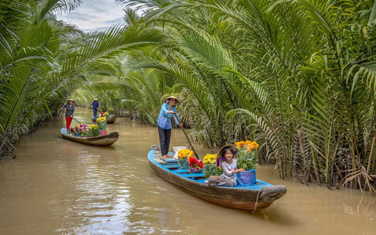 Tour básico 44BC: (1,5 DÍAS) Delta del Mekong: bicicleta y navegación, esencia isleña, encanto rural y delicias culturales