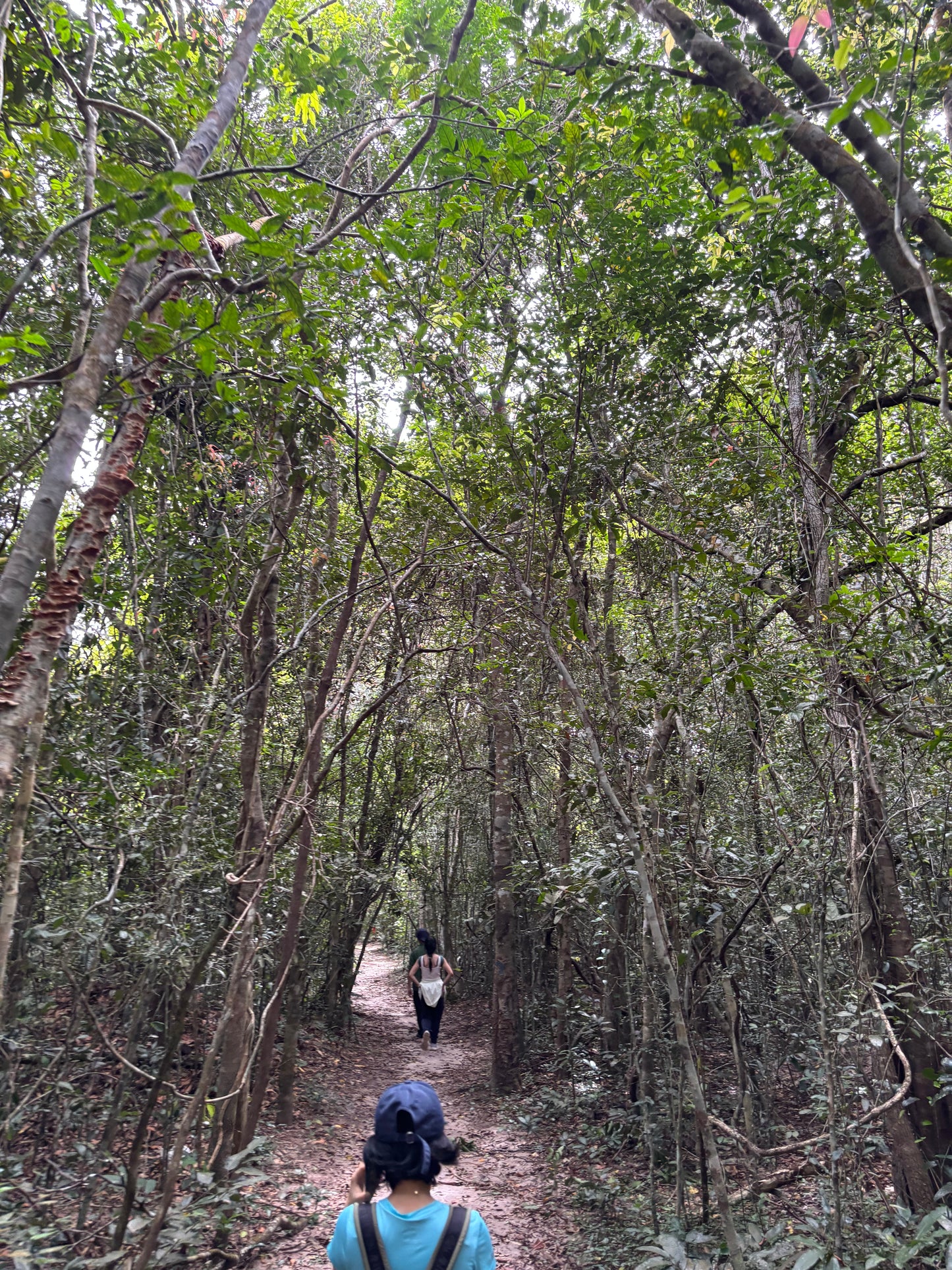 14A- Phuoc Buu Forest (Nature Reserve): Coastal Trailblazers Discovering The Untamed Beauty Of Phuoc Buu