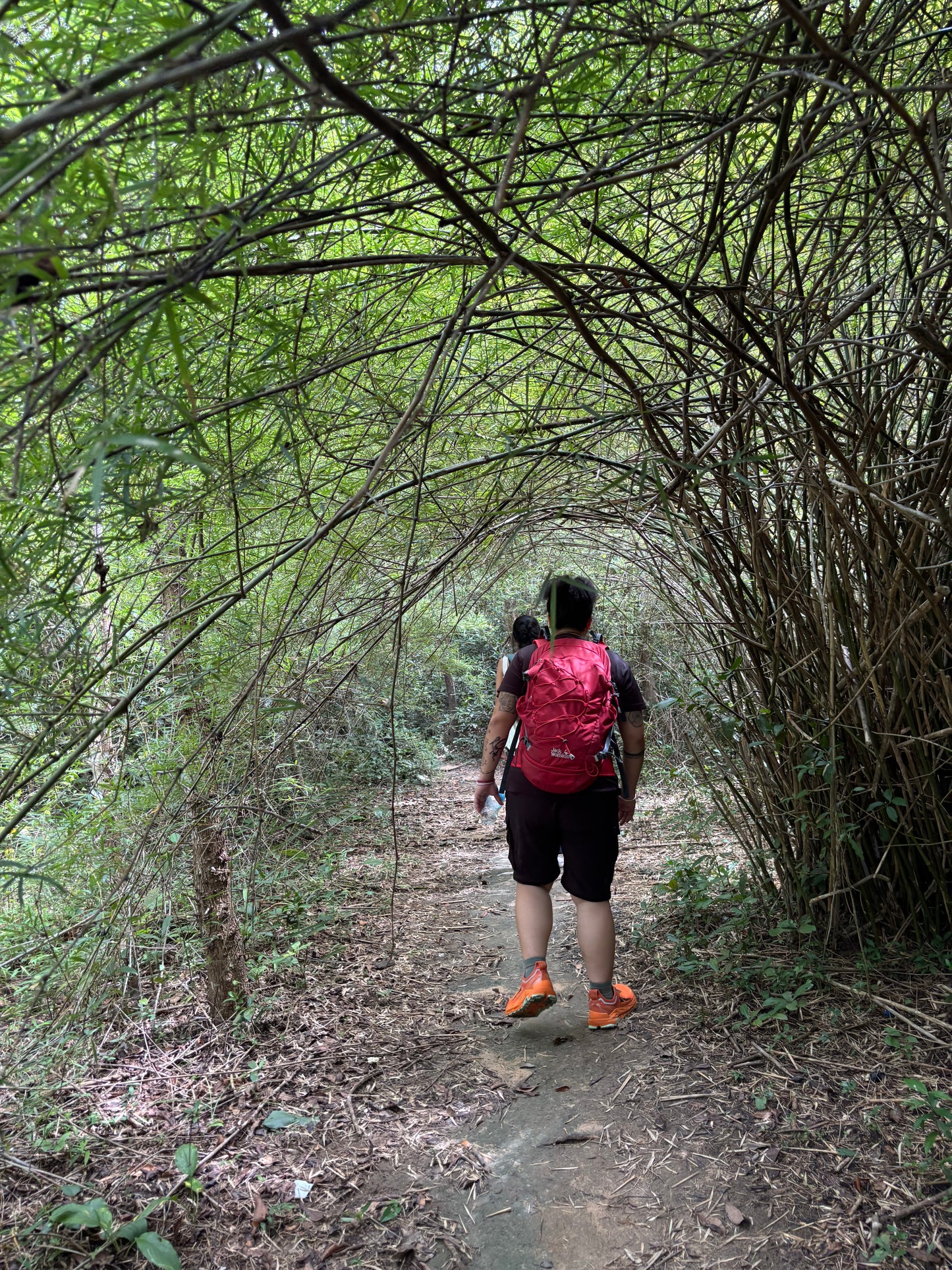 14A- Phuoc Buu Forest (Nature Reserve): Coastal Trailblazers Discovering The Untamed Beauty Of Phuoc Buu