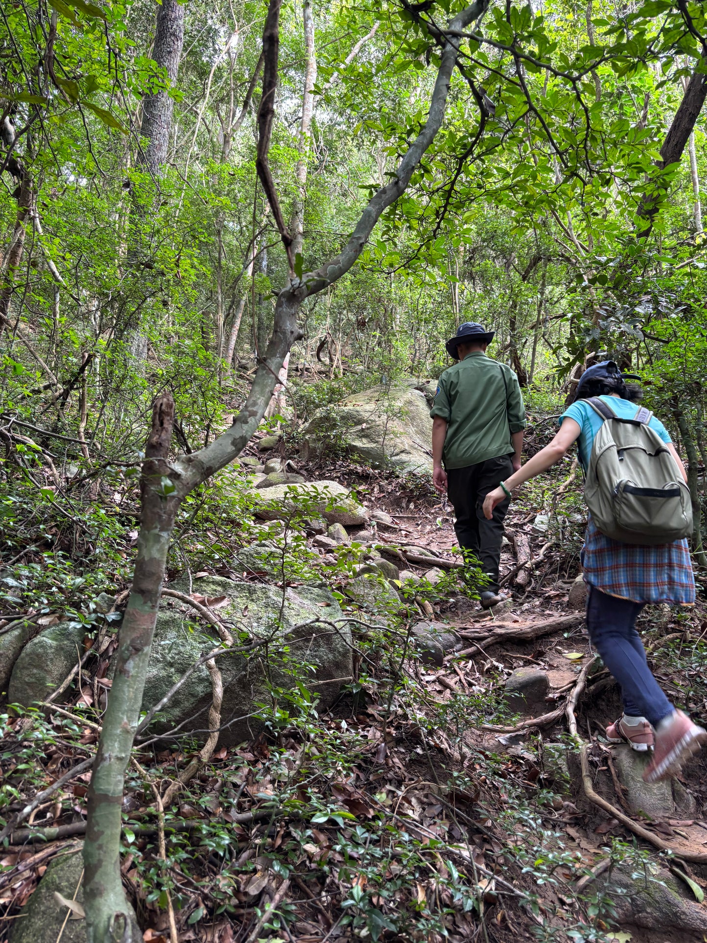 14A- Phuoc Buu Forest (Nature Reserve): Coastal Trailblazers Discovering The Untamed Beauty Of Phuoc Buu