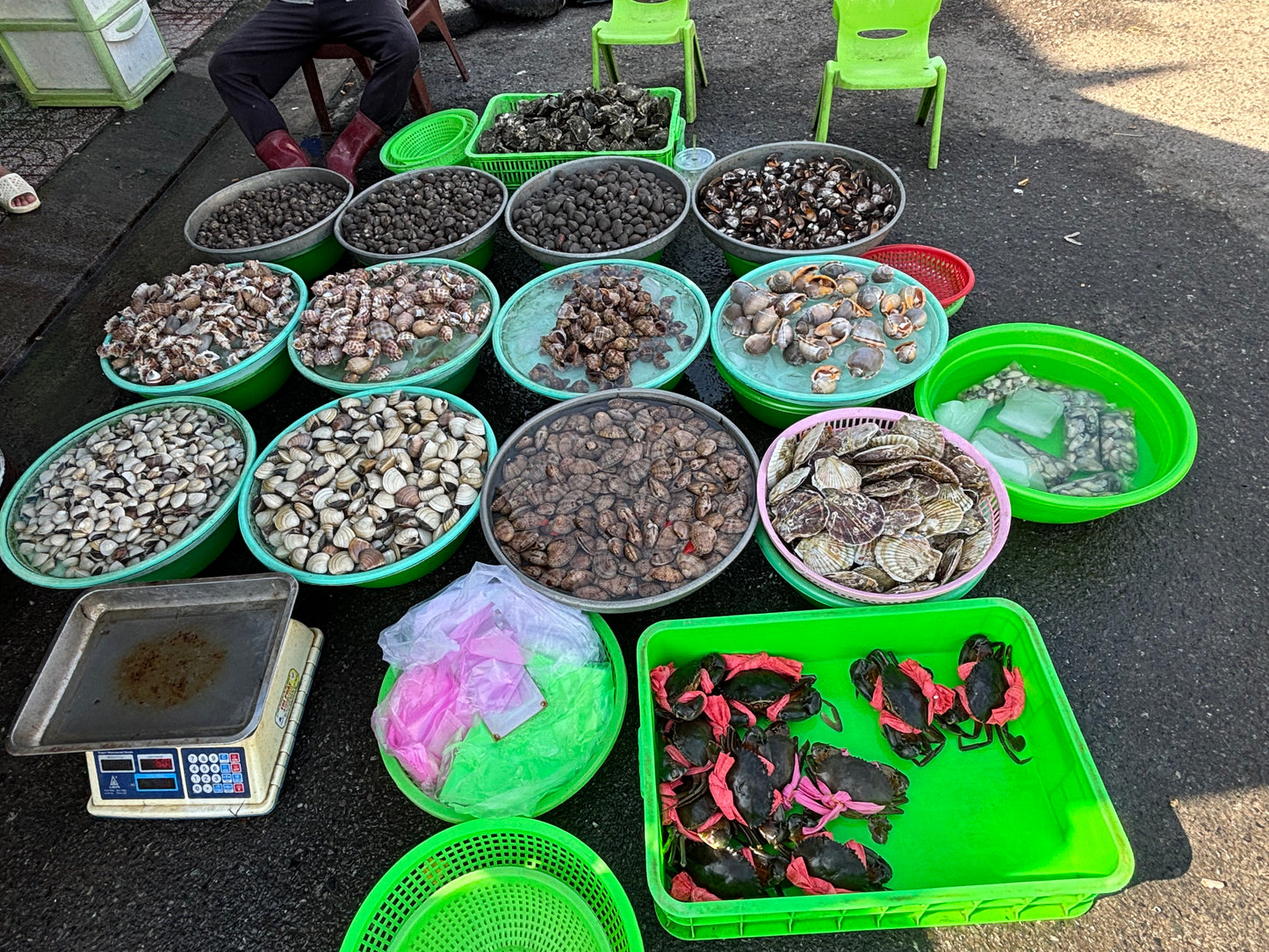 22D Hiking & Exploring Vung Tau City