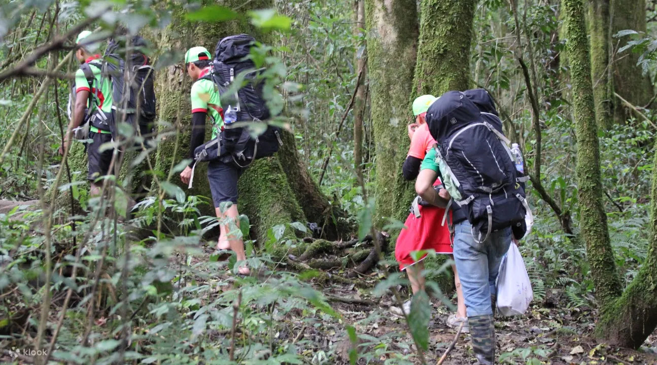 DLA1: L'Angbiang Mountain Trekking Adventure in Da Lat