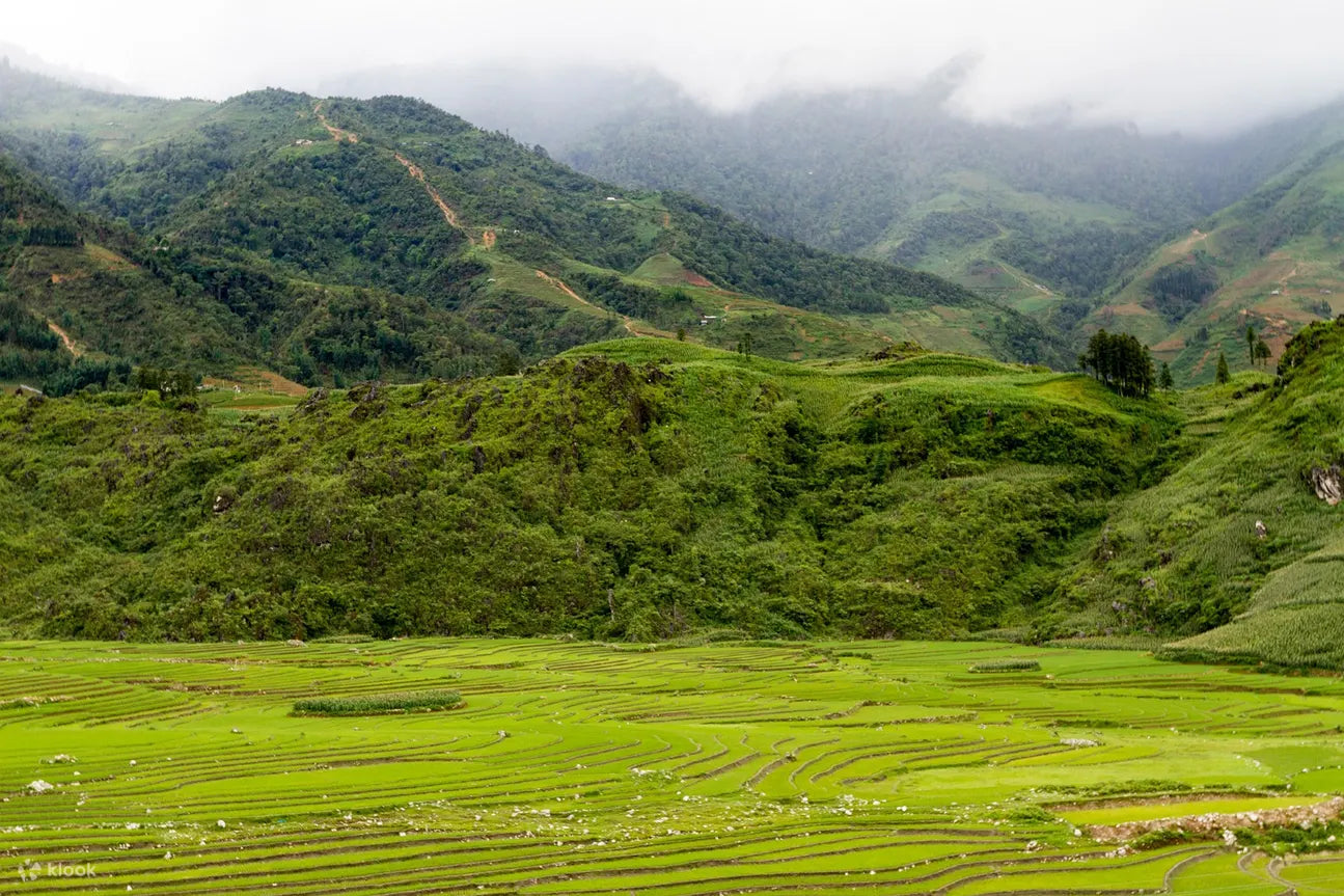 SP-A1: Ma Tra & Ta Phin Village Trekking (One Day)