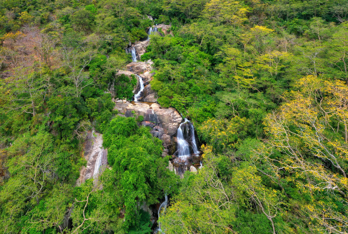 23B: (2일) Chua Mountain: 유네스코 세계 생물권 보전지역 및 유일한 건조림