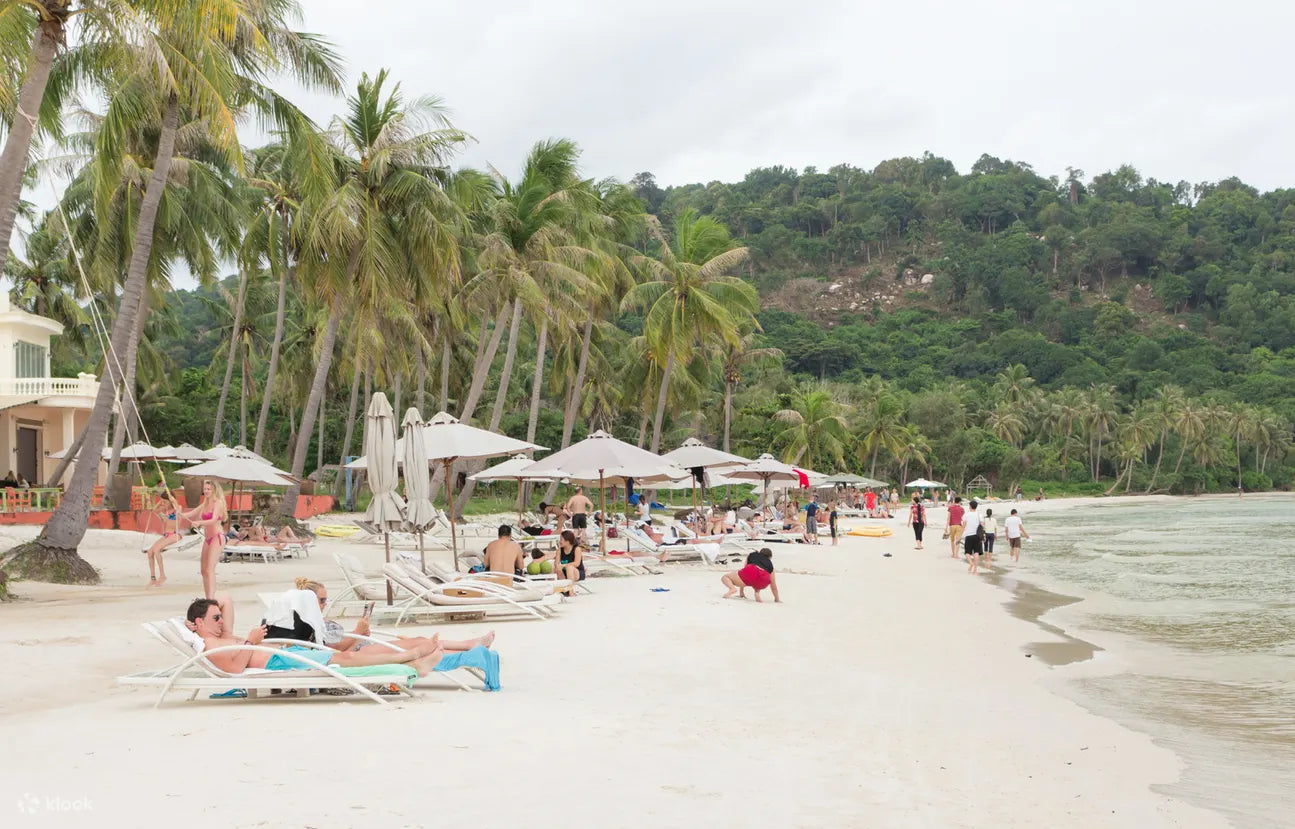 PQA4: South Phu Quoc - White Sand Beach, Pagoda & Pepper Farm