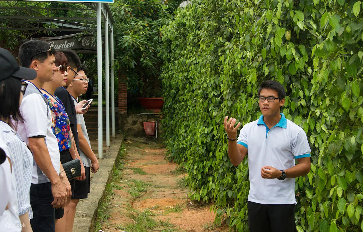 PQA4: South Phu Quoc - White Sand Beach, Pagoda & Pepper Farm