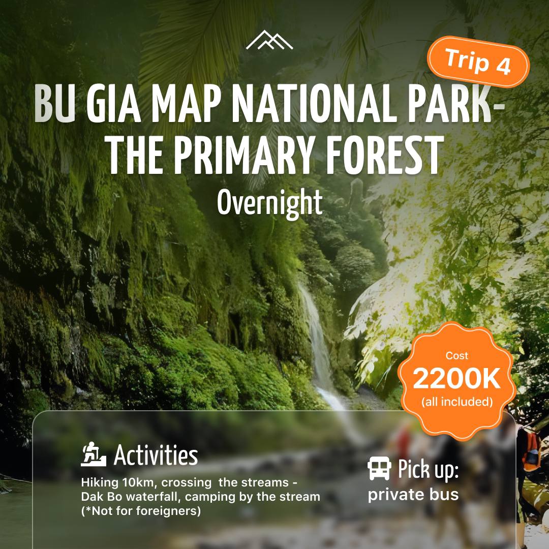 Bu Gia Map National Park: The Primary Forest