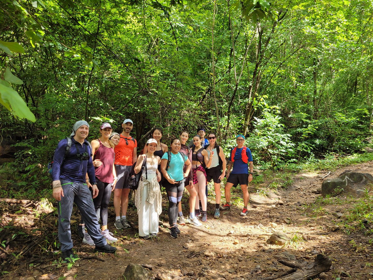 7A- Dinh Mountain: Divine Peaks and Bamboo Trails