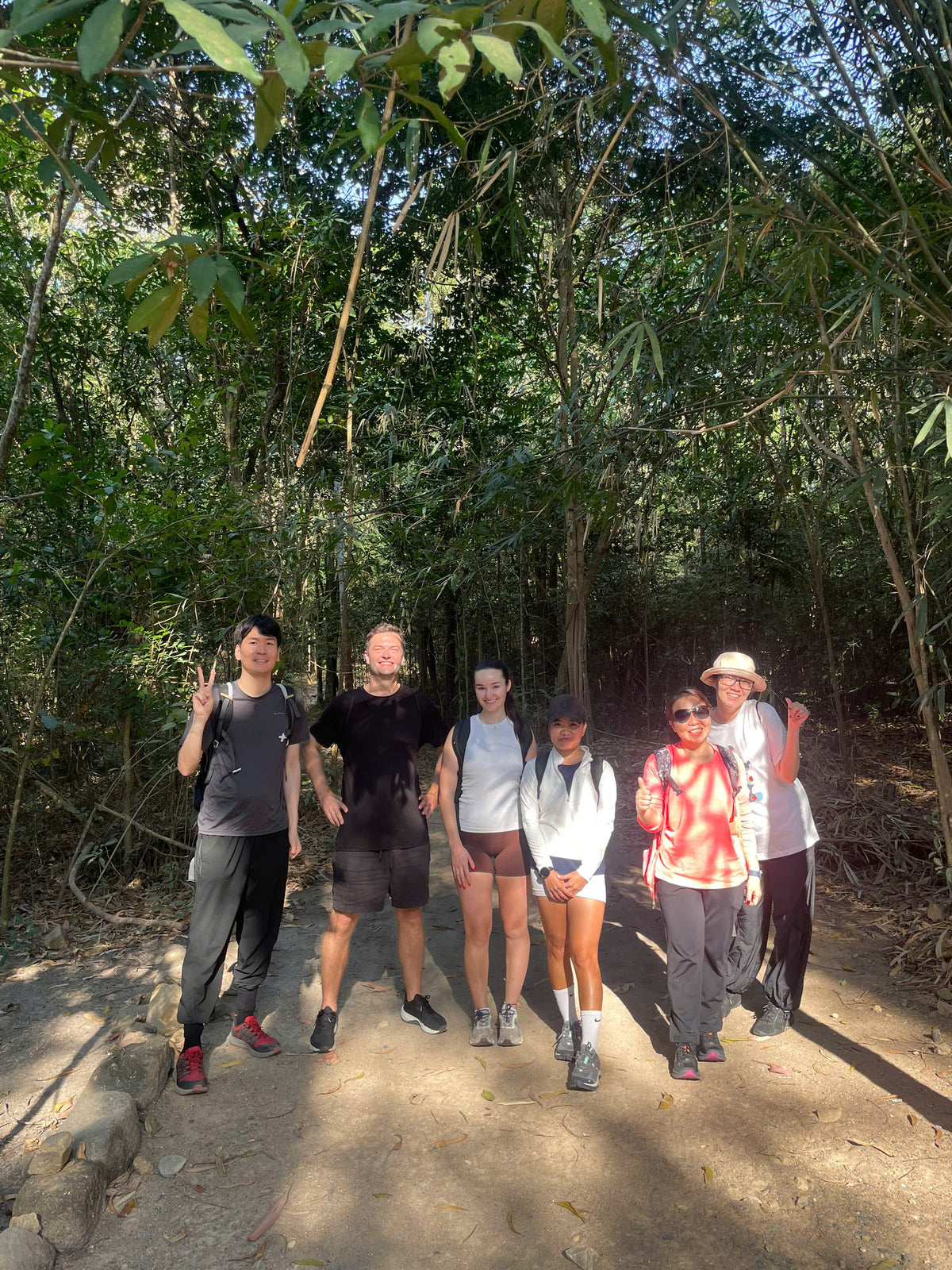 7A- Dinh Mountain: Divine Peaks and Bamboo Trails